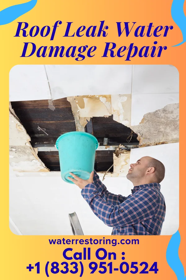 Roof Leak Water Damage Repair in Eagle Mountain, UT